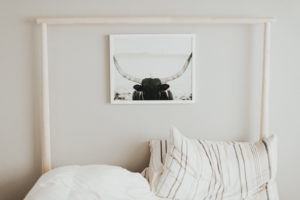 Contact Petone Frameworks