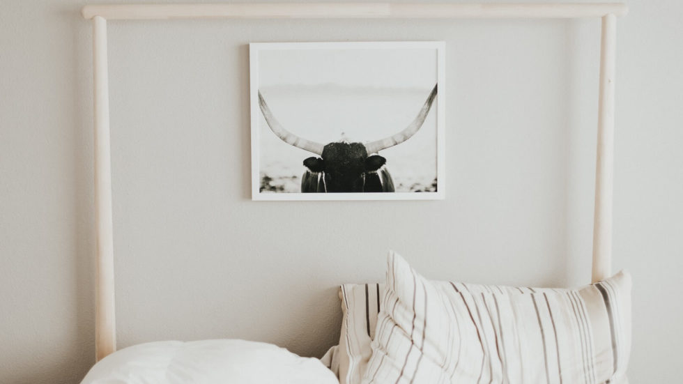 Contact Petone Frameworks